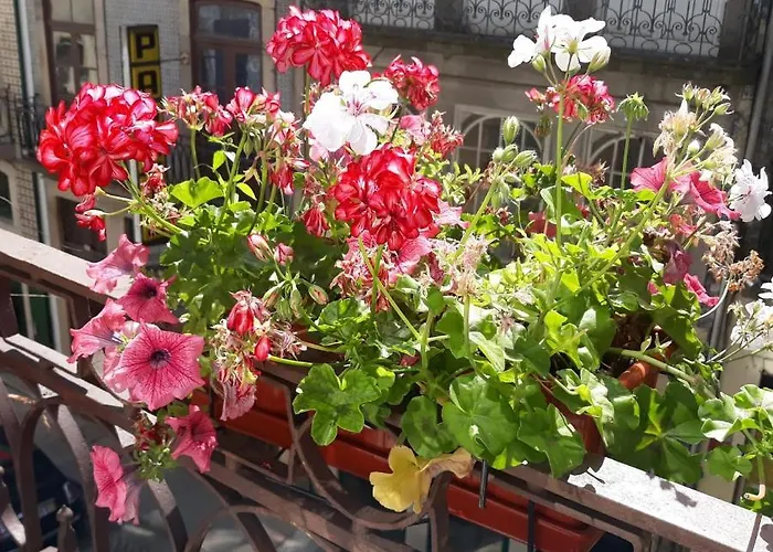 Al-almada-2 * بورتو